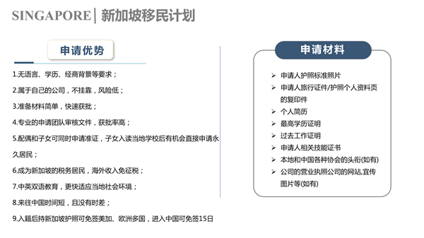 新加坡自雇計劃P4.jpg